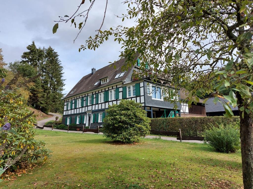 Bergermühle - 2020
